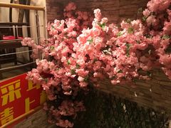 -耳·道古法采耳(高新万达店)