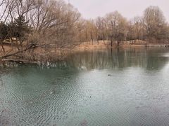 -长白岛森林公园