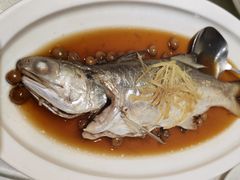 破布子午鱼-光头匠