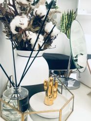 -紫御国际抗衰ZOE ANTI AGING