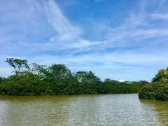 -大湾区中央湿地公园