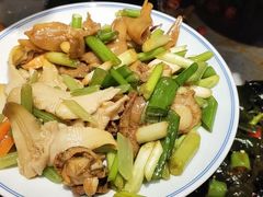 拌鸟贝-日丰园海肠水饺·老字号大连海鲜(和平广场店)