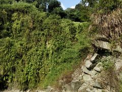 -火炉山森林公园