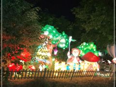 -大塘金香草谷