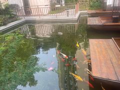 -大融厨·鸡毛店·川菜(果壳里东安湖店)