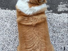 -肥朵食堂(带梦胡同店)