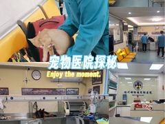 -动物缘宠物医院·骨科·猫科(西二环店)