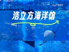 -成都浩海立方海洋公园