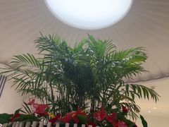 -LANN I 蘭 SPA(陆家嘴中心店)