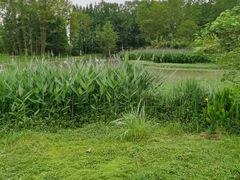 -桤木河湿地公园