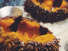 活海胆-万岛日本料理铁板烧(太古里店)
