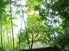 -阿育王寺