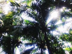 -三亚湾海居铂尔曼度假酒店