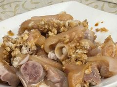 -百利鸽王(紫薇路店)