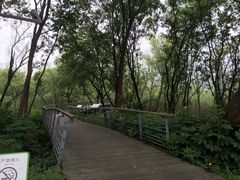 -西湖风景区-江洋畈生态公园