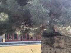 -护国法轮寺