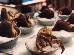 -阳光岛·海鲜盛宴(银泰中心in99店)