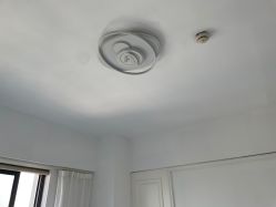 -凡碧诗毛孔收细