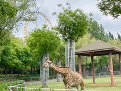 -石家庄市动物园