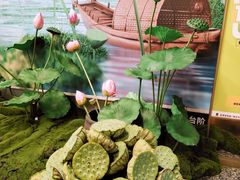 -金茂览秀城
