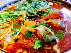-老凯俚酸汤鱼(鸿通城店)