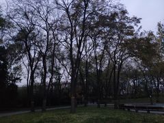 -玲珑塔公园