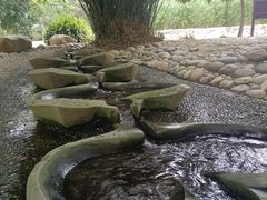 -成都市活水公园