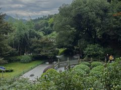 -十八棵（老龙井）御茶园(老龙井店)