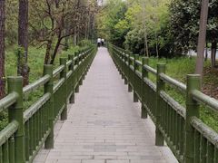 -大蜀山国家森林公园