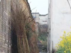 -新安江山水画廊风景区