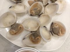 -外沙疍家棚酒楼