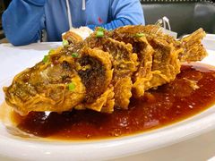 老济南糖醋鲤鱼-金春禧·鲁菜海鲜(延吉路万达店)
