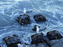 -悦海公园