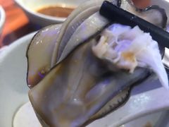 -千岛蚝高压锅生蚝·人参火锅(白云万达店)