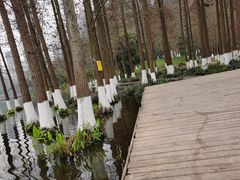 -重庆彩云湖湿地公园