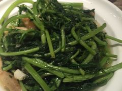 -茉莉餐厅(包河万达店)