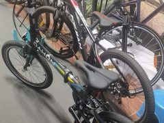 -道路口单车爱瓦士dahon大行