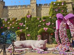 -青岛方特梦幻王国