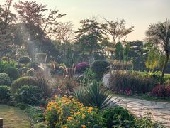 -东莞植物园