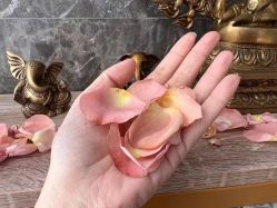 -酉嘉瑜伽YO+YOGA