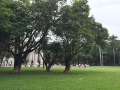 -中山大学学者灵芝(园南路店)
