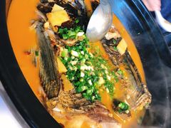 红烧鱼-千岛湖小鱼儿·淳安匠心农家菜