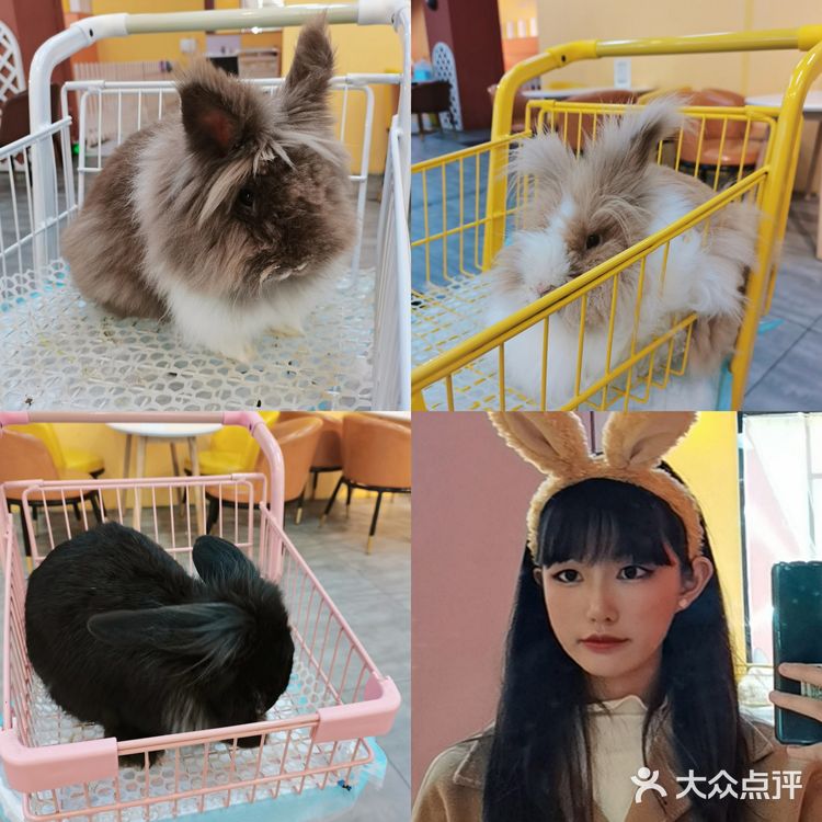 长沙探店 Nice to meet u  萌兔体验馆