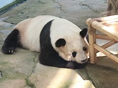-苏州太湖国家湿地公园