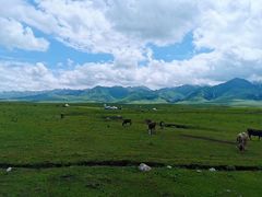 -新疆那拉提国家旅游度假区