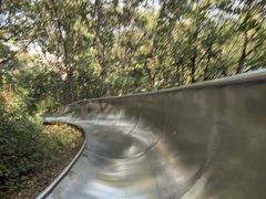-富斯特索道