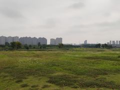 -洋湖国家湿地公园