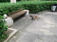 -郑和公园