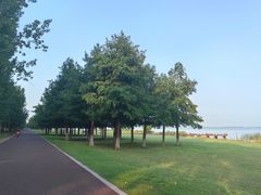-苏州东太湖生态园