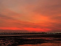 -宝安西湾红树林湿地公园